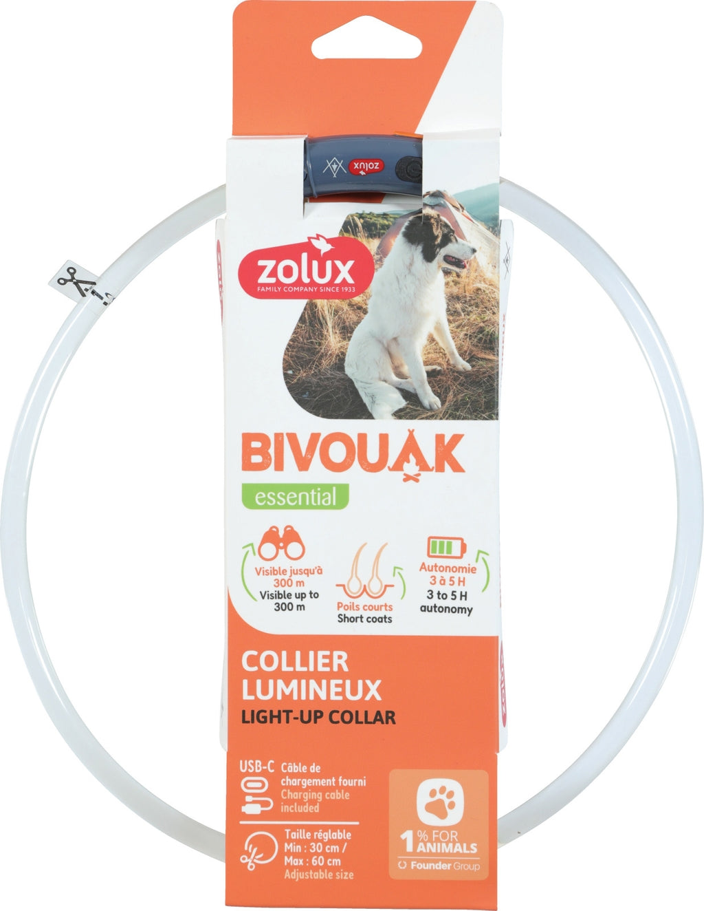 collar luminós transparent blau