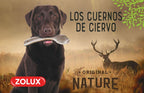 Nature asta de ciervo