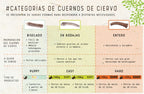Nature asta de ciervo