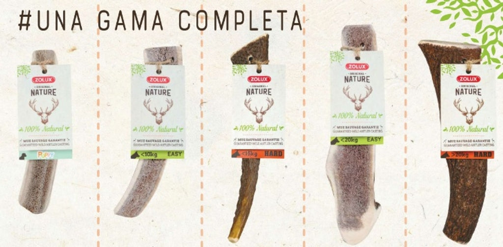 Nature asta de ciervo