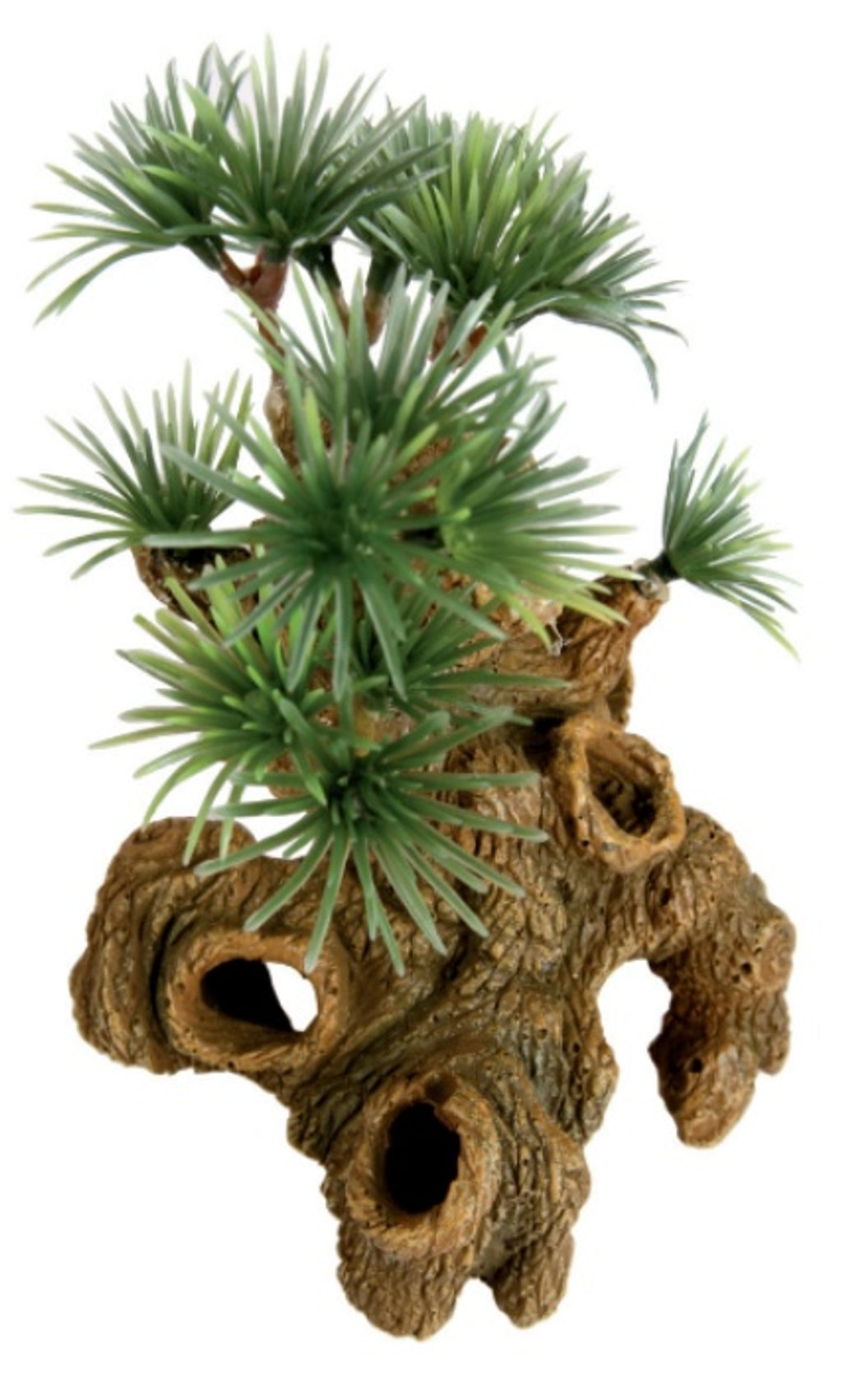 Bonsai nano 9x9x11,5 cm Imatge principal del producte