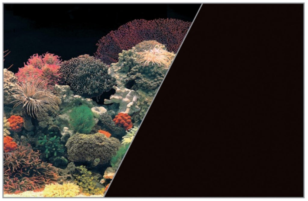 póster doble cara coral/negro 50x80cm