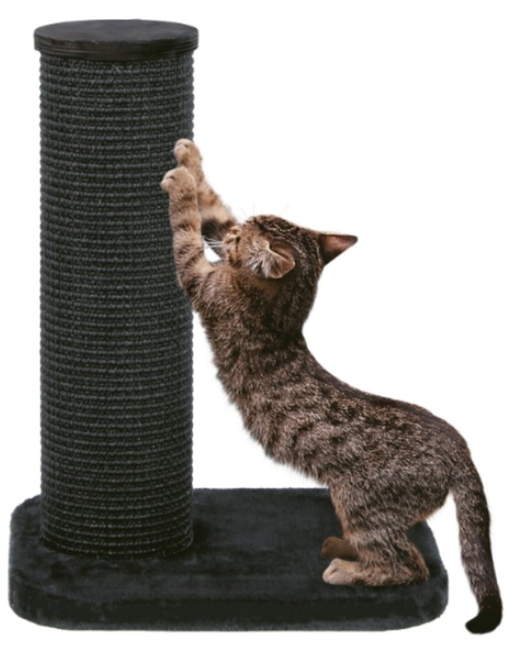 árbol city cat 1 gris