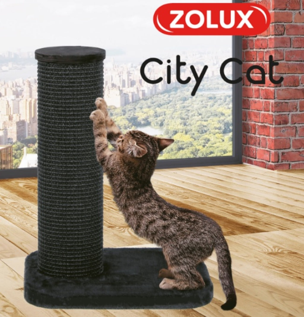 Zolux Arbre City CAT 1 Gris Imatge secundària del producte