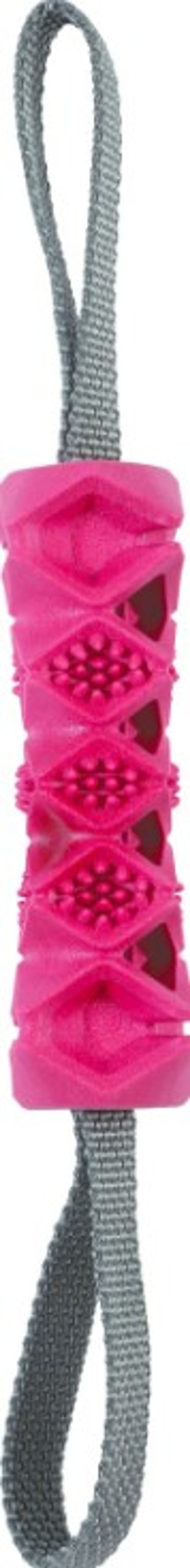 juguete tpr hueso outdoor terr Imagen principal del producto